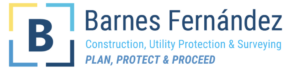 Barnes Fernandez Limited