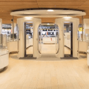 Smart Security Lanes