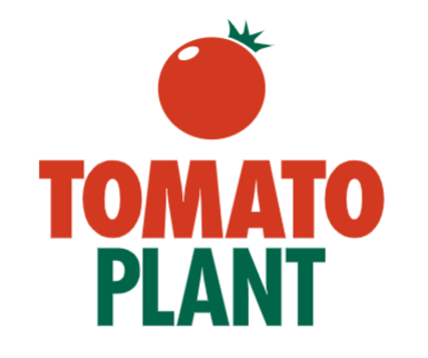 Tomato Plant Ltd